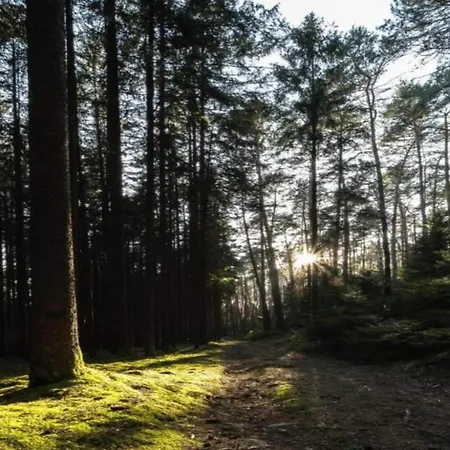 Peaceful In Gehren, Cleaning Included *